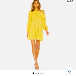 Endless Rose One Shoulder Dress - NWT SIZE SM